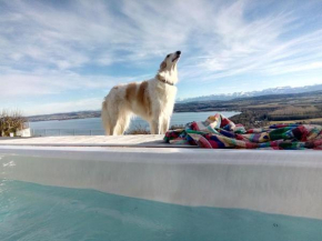  Swiss Borzoi House  Бельрив